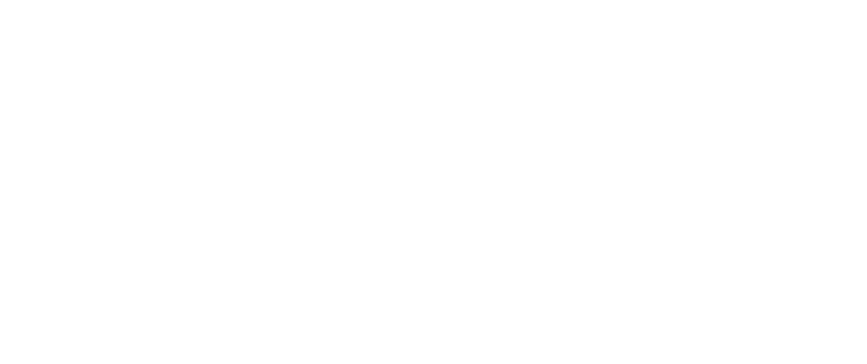 Florida Health - Medical Foster Care Logo